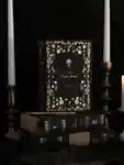 Alternative Image St Soleil Inner Focus Ritual Journal Editionii Black