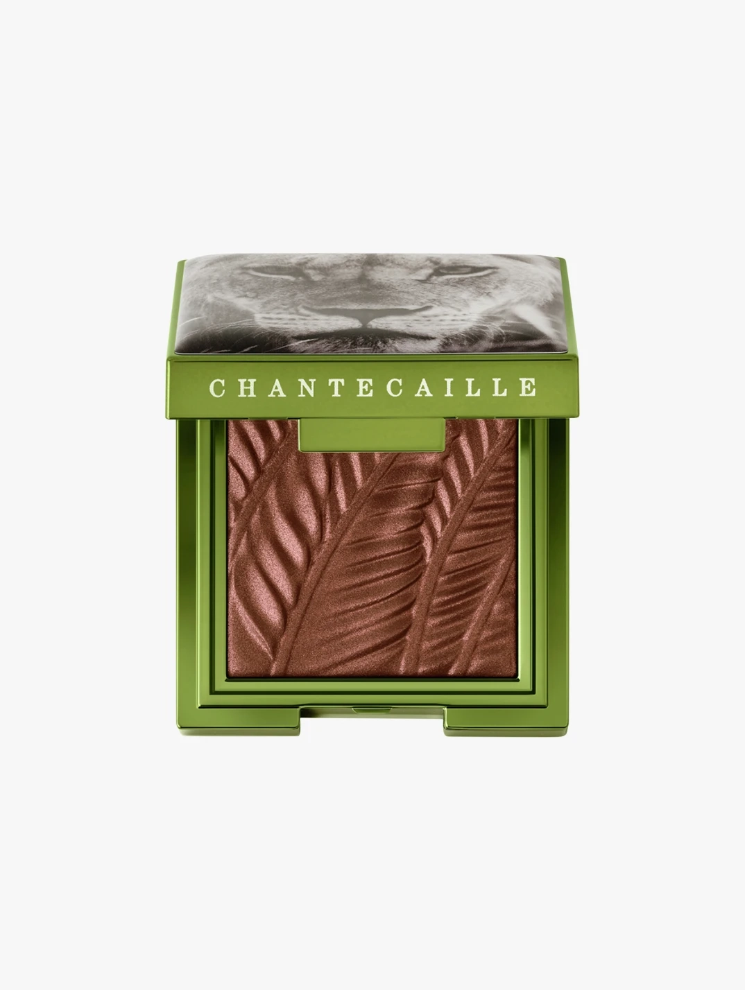 Hero Chantecaille Luminescent Eye Shade