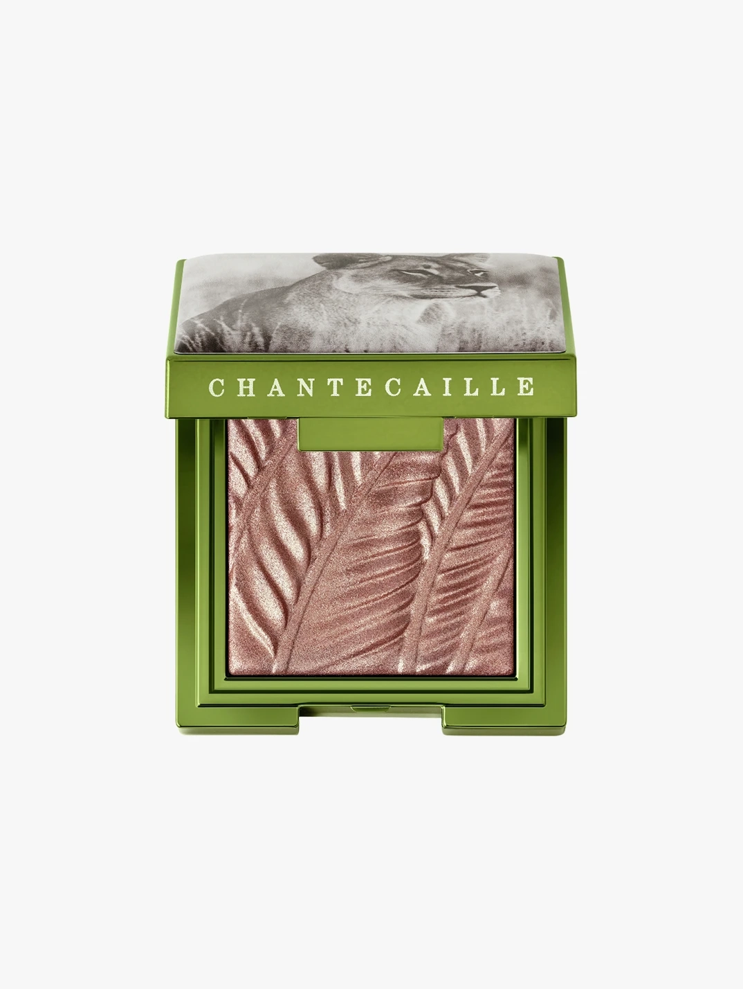 Hero Chantecaille Luminescent Eye Shade