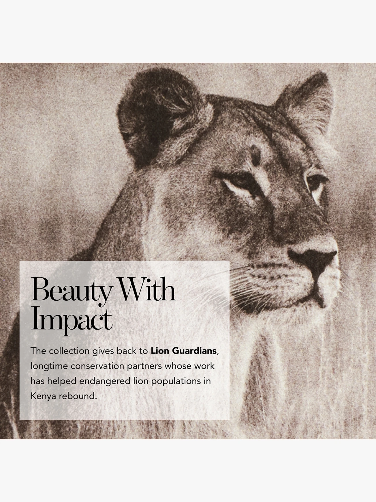 Alternative Image Chantecaille Luminescent Eye Shade