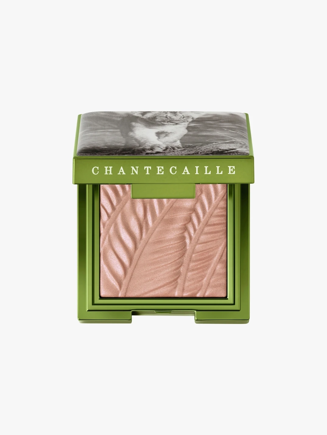 Hero Chantecaille Luminescent Eye Shade