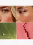 Alternative Image Chantecaille Cheek Shade