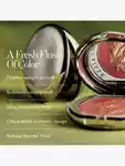 Alternative Image Chantecaille Cheek Shade