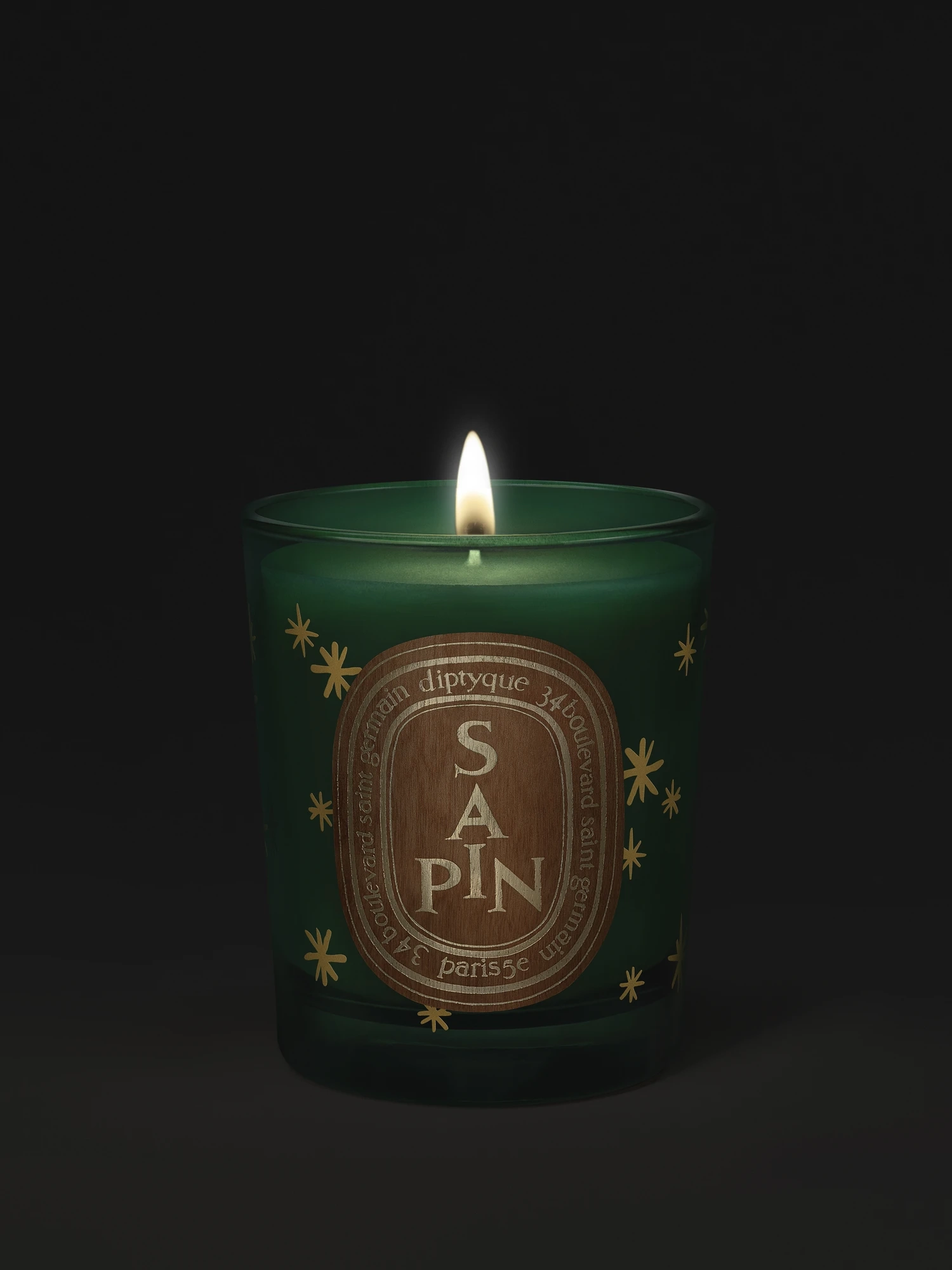 Alternative Image Diptyque Sapin Candle70g
