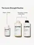 Alternative Image Olaplex No4 Bond Maintenance Shampoo