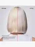 Alternative Image Olaplex No4 P Blonde Enhancer Purple Toning Shampoo