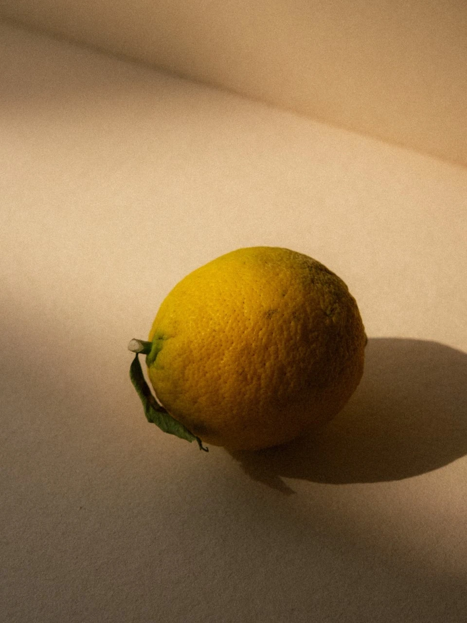 Alternative Image Perfumer H Bergamot Body Lotion