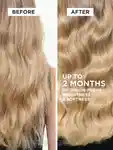 Alternative Image Kerastase Blond Absolu Essentials Set