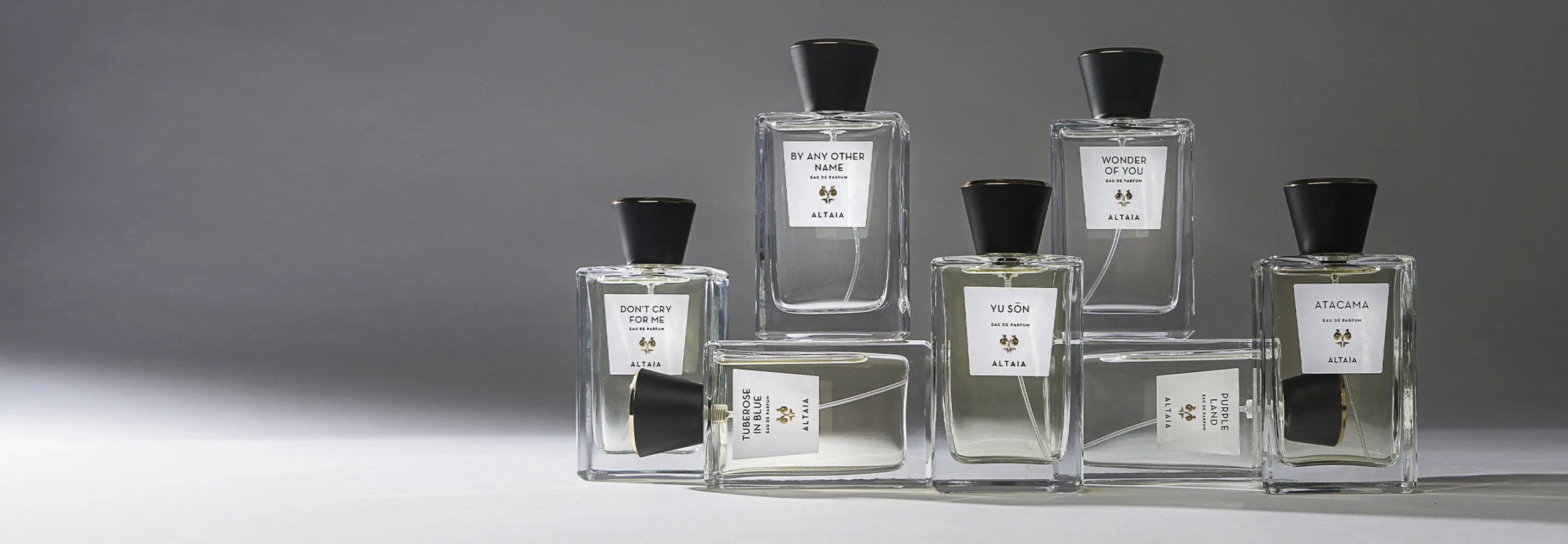 Altaia EDP Apr 2023 11x5