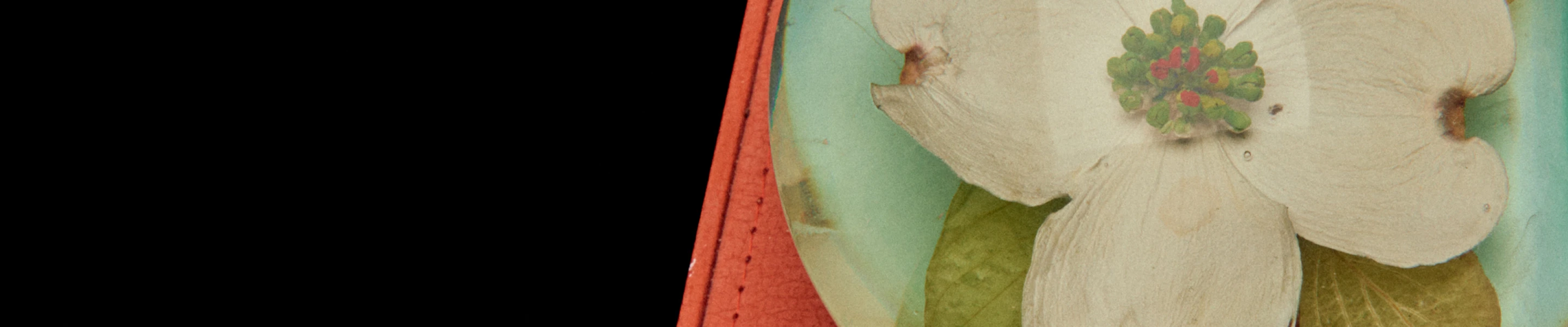 archive-ashani-dante-banner-aug-25.jpg