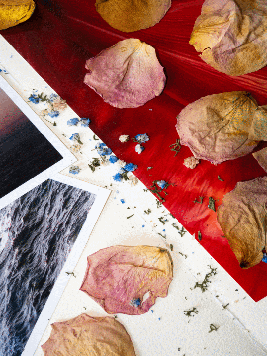 archive-brand-landscape-crivelli-2-oct-25.gif