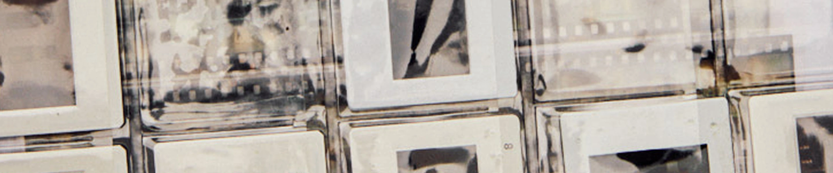 archive-jess-quinn-banner-oct-25.jpg