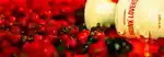 Born-To-Stand-Out-Header-Banner-2880x1000_v2.jpg
