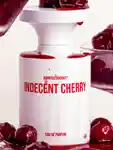 borntostandout-fragrance-cycler-indecent-cherry-3x4.jpg