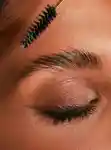 Brow Code Ibd Tint Offer Pdp Modal 3x4