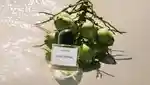 video-fallback-image