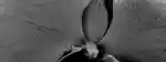 digitalPerfumeria-miniherobanner-mobile-1125x267-shop-all.png
