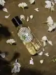 DIPTYQUE-LE-SummerCollection-NPD-Shoppable-Content-Cycler-2-Body-June-2026-3x4.jpg