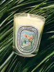 Diptyque Shoppable Cycler Candle 3x4