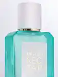 Close up of Ellis Brooklyn Miami Nectar EDP