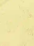 EllisBrooklyn-ShoppableCampaignModule-ProductBackground-may-2026-700x946.jpg
