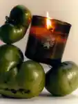 Stylized photo of Tomato Candle