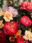 Corporate Floral Consultation by Flowers Vasette image 6