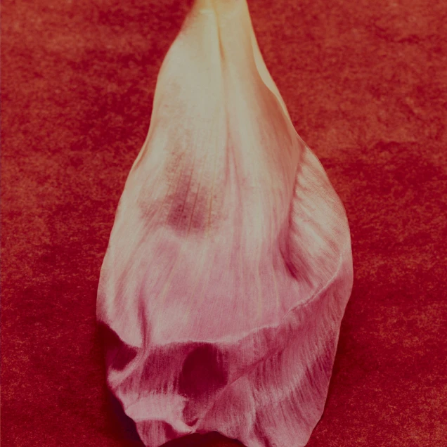 fragrance-header-banner-2-floral-april-2026-1x1.jpg