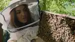 video-fallback-image
