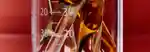 glycolic-acid-header-banner-may-2025-2880x1000.jpg