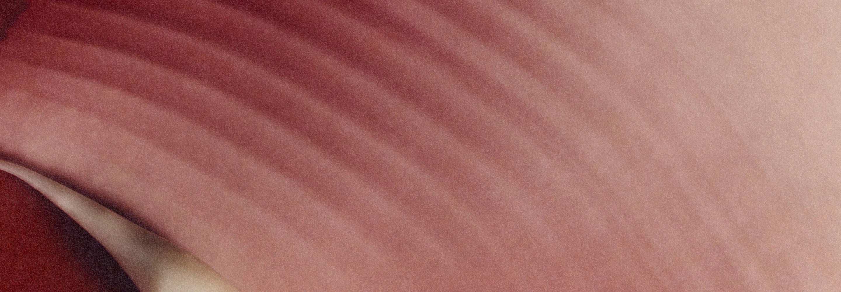 hydrating-masks-header-banner-jul-26-2880x1000.jpg