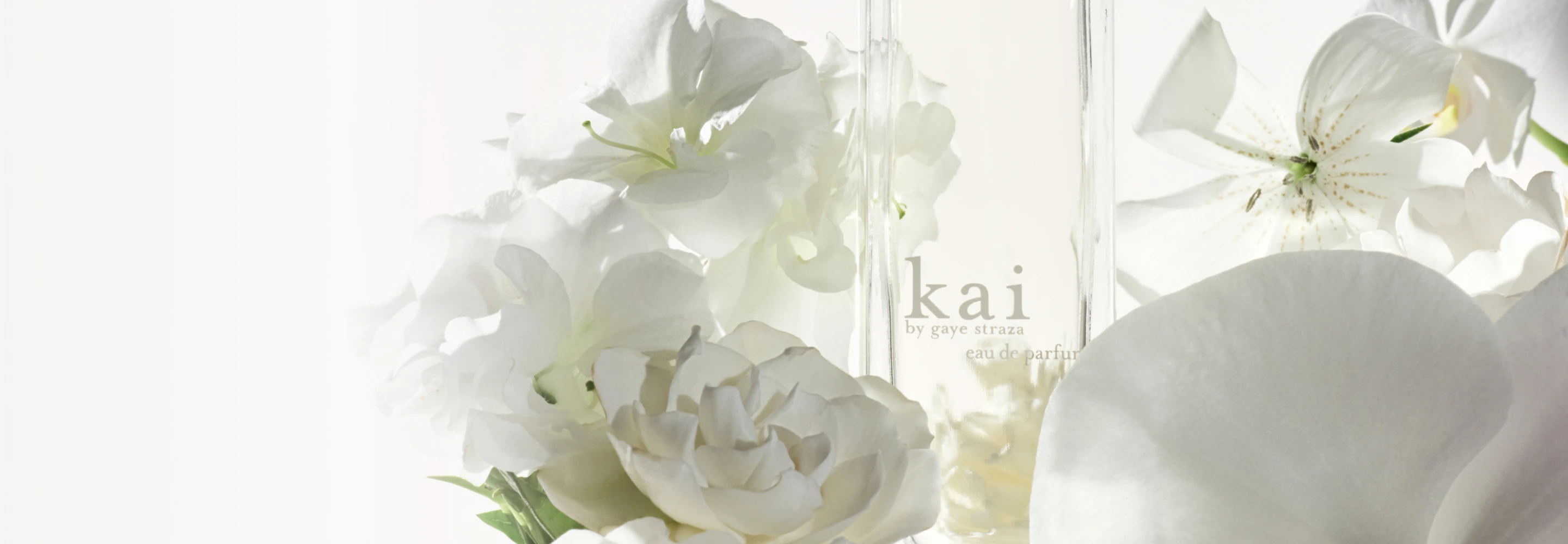 KAI-Header-Banner-2880x1000_Aug2025.jpg