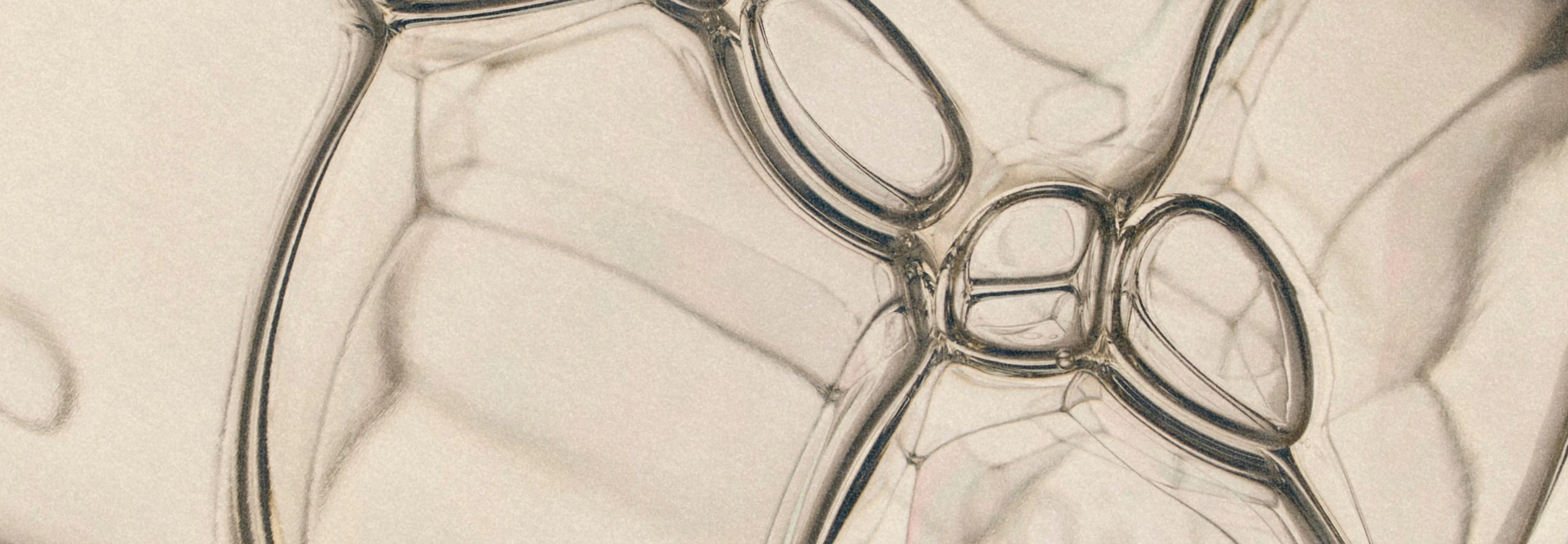 makeup-remover-header-banner-jul-26-2880x1000.jpg
