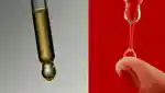 meccaversity-oils-1101x622.jpg