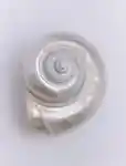 https://contenthub-delivery.mecca.com/api/public/content/memo-2027-perfume-trends-thumbnail-portrait-3x4-1-LugqaOznR2qrpmNgIgbyQ.jpg?v=b082719a