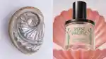 Memo Best Aquatic Perfumes Hero 16x9