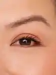 https://contenthub-delivery.mecca.com/api/public/content/memo-brow-product-review-portrait-3x4-7-AYF19IGzRgq9EGbQReotQ.jpg?v=8c5b44d1