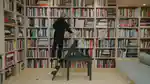 video-fallback-image