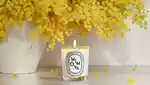 Memo Diptyque Home Fragrance Guide Hero 16x9_ NEW