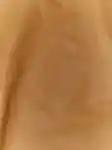 https://contenthub-delivery.mecca.com/api/public/content/memo-fragrance-family-portrait-3x4---1-v6kyOH2EQeqWDIcpOu9pXg.jpg?v=991514b9