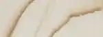 Close-up shot of body cream texture.