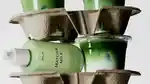 memo-matcha-beauty-trend-hero-16x9.jpg