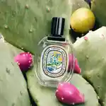 Memo Mecca Must Haves June Thumbnail Square 1x1