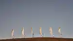memo-meet-commune-brand-1-16x9.jpg