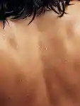The naked back of a model with wet hair and drops of water.