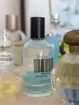 Memo Tiktok Trending Perfumes 3x4 1a