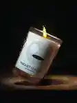 Memo Travel Inspired Perfume By Destination 3x4 3