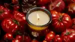 Memo Vegetable Perfumes Candles Hero 16x9