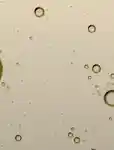 https://contenthub-delivery.mecca.com/api/public/content/memo-what-is-salicylic-acid-portrait-3x4-6-mHT73uPpQoeUotL5vf192A.jpg?v=b0ad93ce
