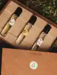 https://contenthub-delivery.mecca.com/api/public/content/memo-winter-fragrance-guide-portrait-3x4-6-2TJUaFzgQS6jQA9eW4QPQ.jpg?v=25f154ac